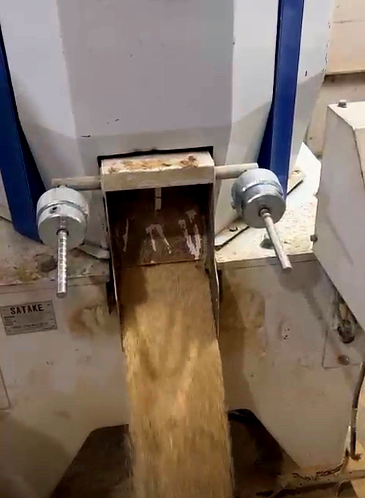 Paddy flowing through Satake milling machine at Sai Balaji